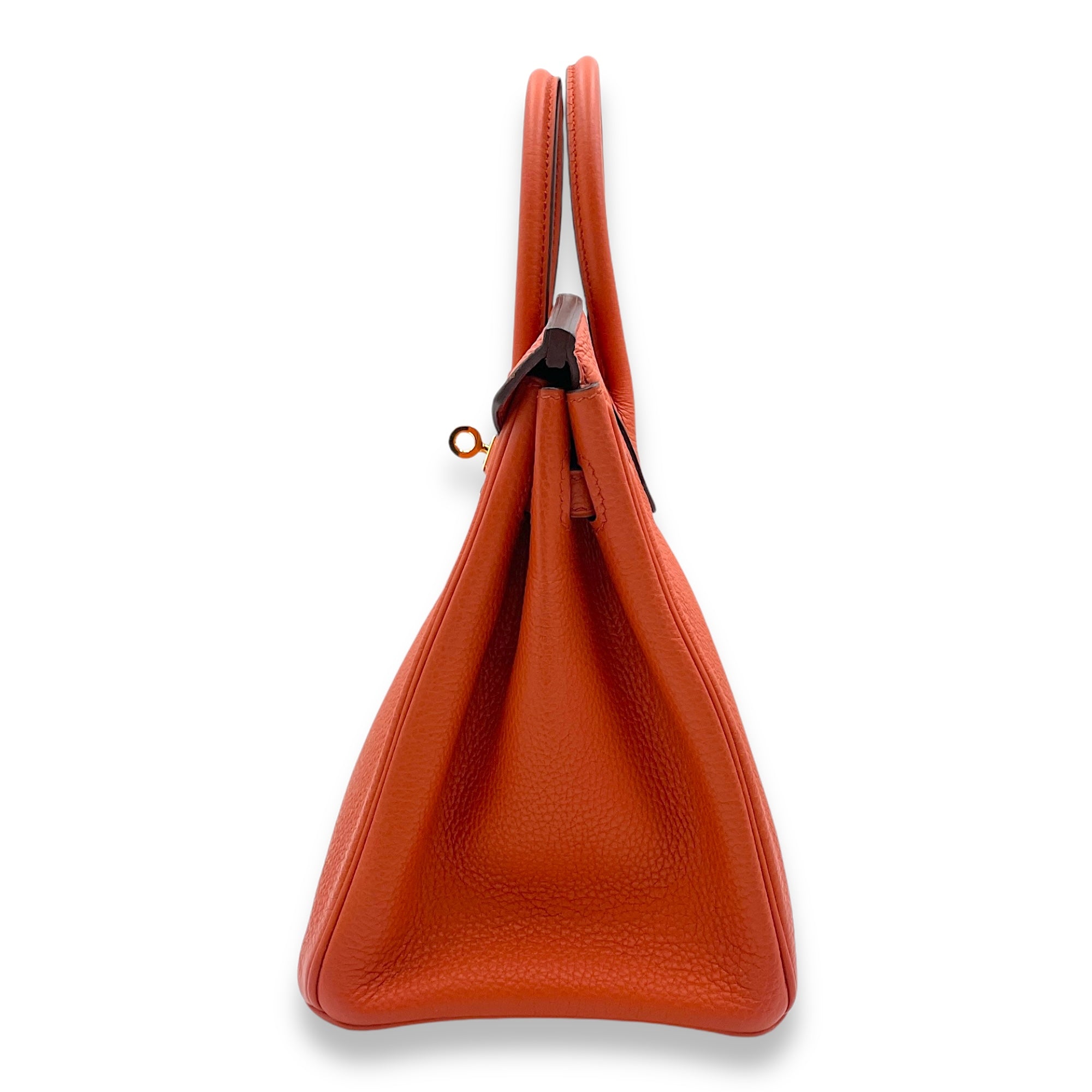 Birkin 25 Tevre Bative in Togo, Gold hardware - Image 5